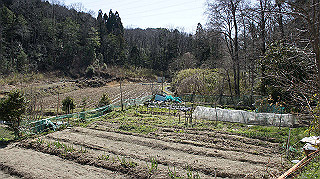 dsc01781_thumb.jpg