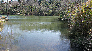 dsc01782_thumb.jpg