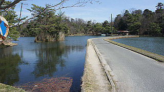 dsc01783_thumb.jpg