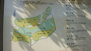 dsc01792_thumb.jpg