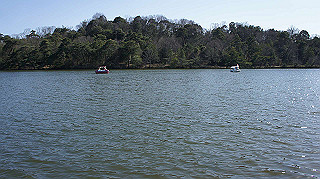 dsc01794_thumb.jpg