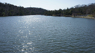 dsc01796_thumb.jpg
