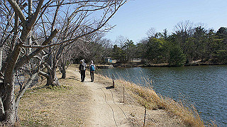 dsc01797_thumb.jpg