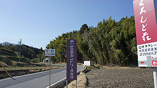 dsc01799_thumb.jpg