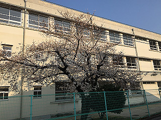 img_0134_thumb.jpg