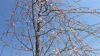 p3293946_thumb.jpg