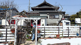 p3293953_thumb.jpg
