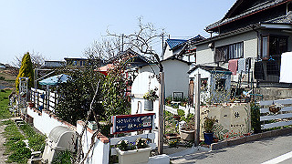 p3293954_thumb.jpg