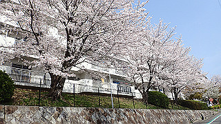 p3293955_thumb.jpg