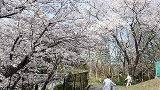 p3293957_thumb.jpg