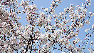 p3293958_thumb.jpg