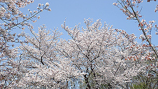 p3293959_thumb.jpg