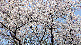 p3293960_thumb.jpg