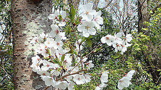 p3293961_thumb.jpg