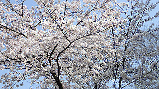 p3293963_thumb.jpg