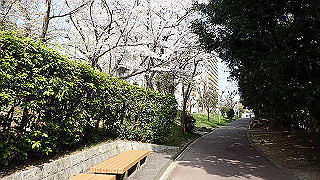 p3293964_thumb.jpg