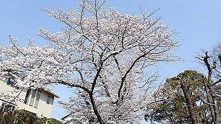 p3293968_thumb.jpg