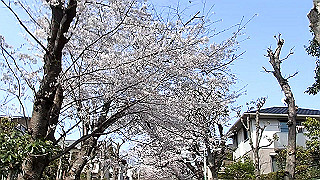 p3293969.mov_thumb.jpg