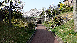 p3293970_thumb.jpg