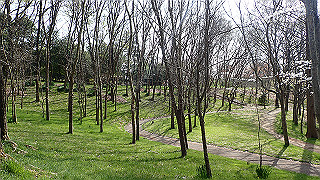 p3293972_thumb.jpg