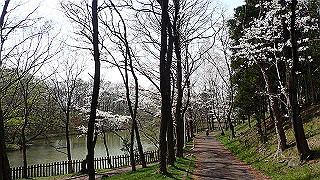 p3293973_thumb.jpg