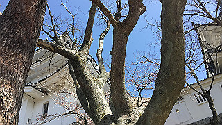2018033005_thumb.jpg