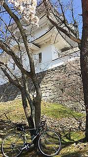 2018033006_thumb.jpg