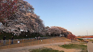 2018033008_thumb.jpg