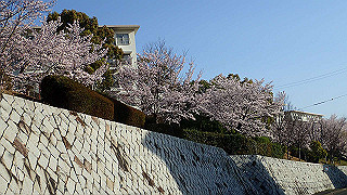 p3303819_thumb.jpg