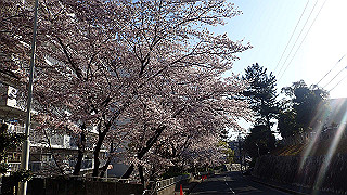 p3303820_thumb.jpg
