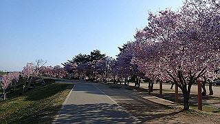 p3303821_thumb.jpg