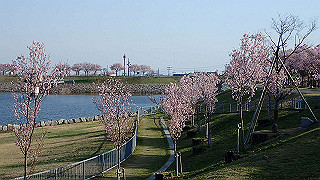 p3303822_thumb.jpg