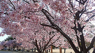 p3303823_thumb.jpg