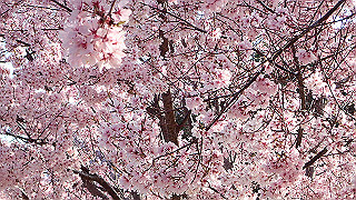 p3303824_thumb.jpg