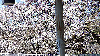 p3303834_thumb.jpg