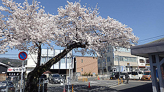 p3303837_thumb.jpg