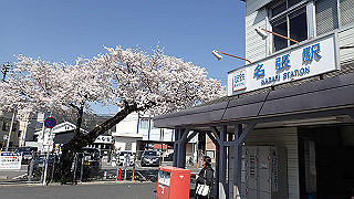 p3303839_thumb.jpg