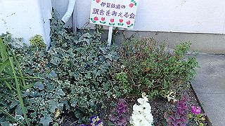 p3303862_thumb.jpg