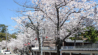 p3303870_thumb.jpg