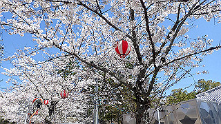 p3303871_thumb.jpg