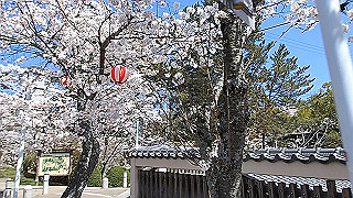 p3303872_x264.mp4_thumb.jpg