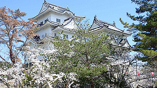 p3303877_thumb.jpg