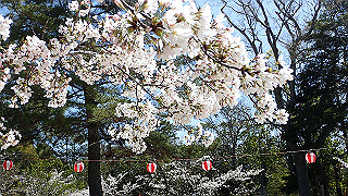 p3303880_thumb.jpg
