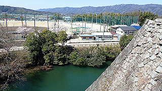 p3303882_thumb.jpg