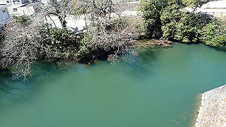 p3303883_thumb.jpg