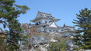 p3303884_thumb.jpg