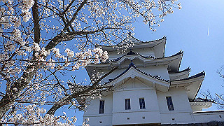 p3303886_thumb.jpg