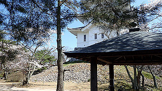 p3303888_thumb.jpg