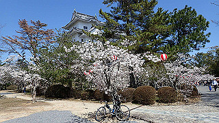 p3303892_thumb.jpg