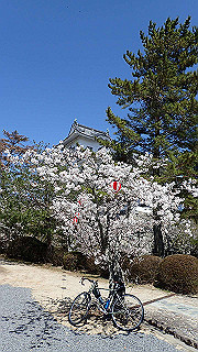 p3303893_thumb.jpg